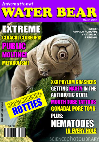 Illustration for article titled When tardigrades turn to the dark side: Murder Bears